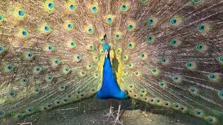 Beautyful
