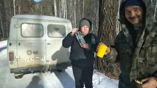 экспедиция в таёжный край,за кедровой шишкой.