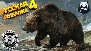 Русская Рыбалка 4 -  Камчатка !Стрим  Турнир Розыгрыши премов и голд наживки!