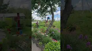 Красота