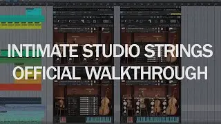 8Dio Intimate Studio Strings - Disco, Pop and Arcs