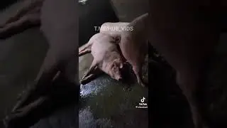 это могли быть мы с тобой, но ты не пишешь 