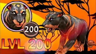 Прокачка льва до 200 lvl ||WildCraft