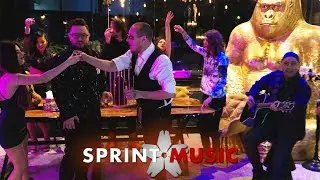 2NormaL ❌ What's UP ❌ Emeric Imre - Regina | Videoclip Oficial