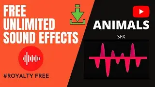 Free Sound Effects | ANIMALS SFX | 100% Royalty Free | Free Download SFX