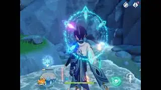 Wanderer Tips and Guide