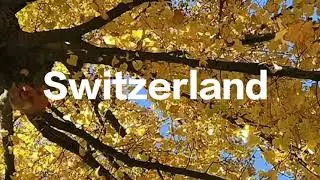the amazing autumn has ended ||  in Switzerland #weekendid