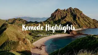 KOMODO National Park HIGHLIGHTS - Explore Indonesia aboard Adelaar Cruises