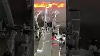 Dragee making machine, expert advice from Minipress.ru