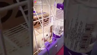 Нужно пить водичку )))