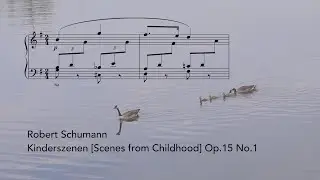 Schumann: Kinderszenen Op.15 No.1 (music score video) | Tiffany Poon