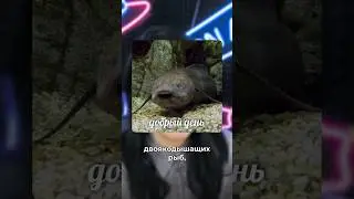 Как понять, где двоякий, а где двойственный?