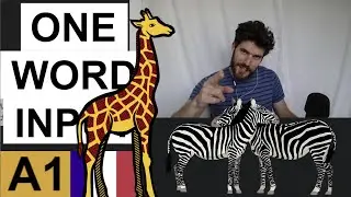 zoo   🐯   - ONE WORD INPUT #124