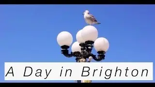 A day in Brighton... || Steff Bell