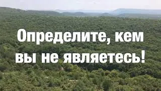 18. Я есть То. Определите, кем вы не являетесь. Нисаргадатта Махарадж