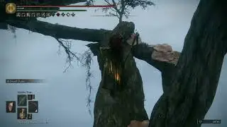 Elden Ring Game teleports me off edge and makes me die