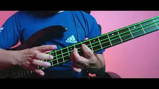 Exploring the Bass Reverb Tone By 