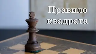 Урок №19. Основи ендшпілю. Пішакові закінчення. Правило квадрата