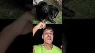 Fotos Virales Que Todos Creímos Pero Son Falsas 😪 