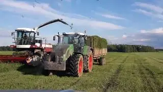 Заготовка силоса 2017