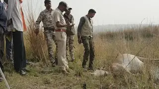 Guardians of Tadoba -  Marathi