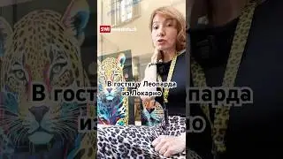 Три новости из Швейцарии: кинофестиваль, тарифы Трампа и паспорт 