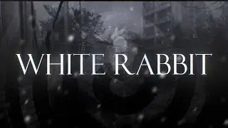 White Rabbit ft. nobfl