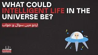 What could intelligent life in the universe be?