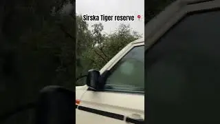 Sirska ka ghana jungle 😳 