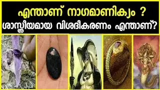 നാഗമാണിക്യം സത്യങ്ങൾ എന്താണ് ? reality of Snake stone Nagamanikyam | SVS ennum eppozhum evideyum