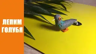 Как слепить голубя из пластилина Проект В деревне