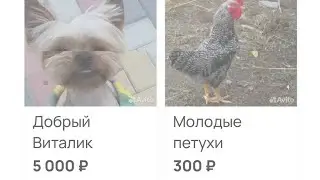 мы родились в сибири//украли и продали?//обзор канала