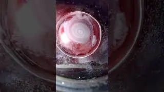 vortex growing from food colouring and salt water