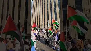 Free Palestine big rally in Toronto downtown.#short #shorts  #samsungs23ultra #freepalestine
