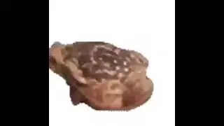 video I uploaded for the sole purpose of finding the song name