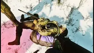 How to Get the 