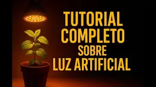 Guia Completo sobre Luz Artificial para Cultivo Indoor.