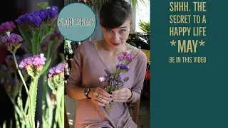 statice growing tips , the 