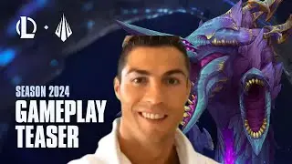 Season 2024 in the Nutshell