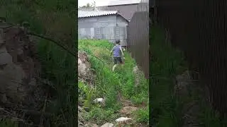 шоу с русланам только извините что короткое