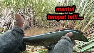 astagfirullah,,,,sangat memuaskan tempat nya