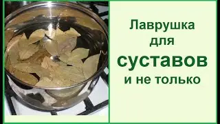 Лавровый лист - чистим и лечим суставы// Рецепты в описании