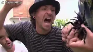 ОНИ УЖЕ АТАКУЮТ