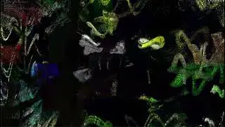 Hydra_exp1