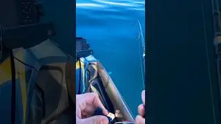Pêcher en jetski #pêche #fishing #fish #pêcheur #pecheenjetski #seadoolife #fishpro #southoffrance