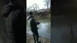 Дракачи и их проводка