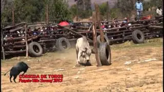 CORRIDA DE TOROS PUNATA - VILLA SURUMI 2015