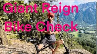 Rob Warners custom build 2023 Giant Reign