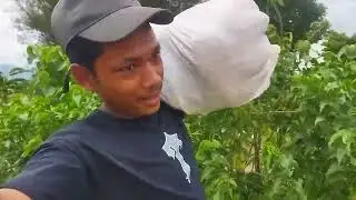Ropai Garna Tikapur Pugiyo / @PrajDangaura
