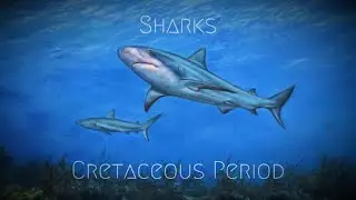 When Prehistoric Sharks Roamed In The Cretaceous Period